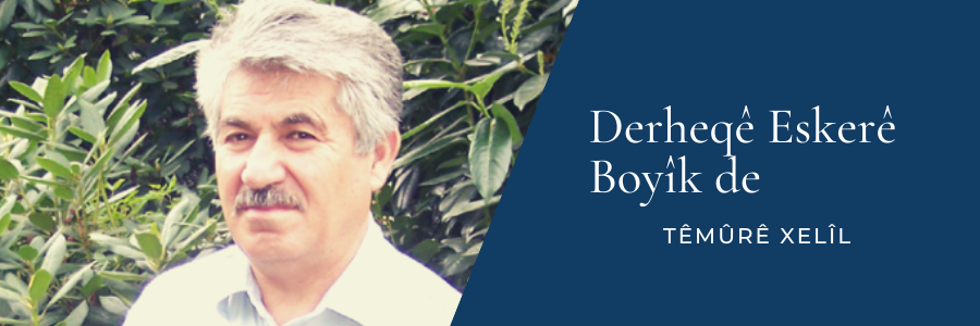 Têmûrê Xelîl / Derheqê Eskerê Boyik de