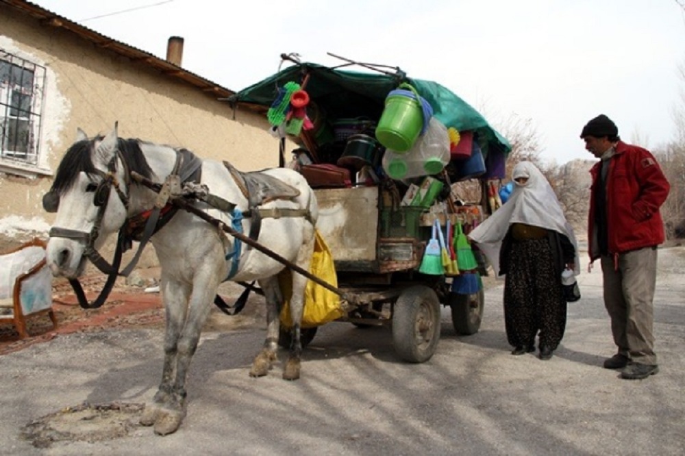 Cemîl Oguz / Çerçî